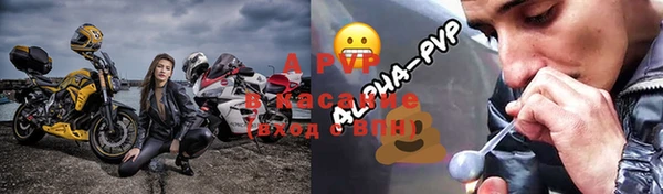 стафф Алексин