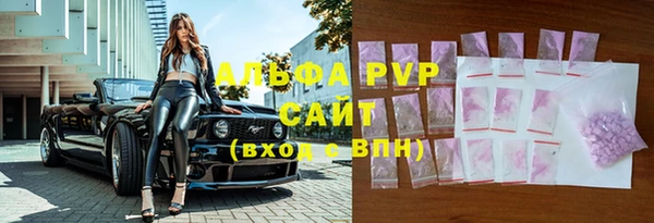 стафф Алексин