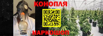 каннабис Берёзовский