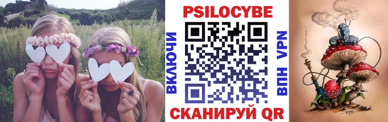 площадка телеграм  Выкса  Галлюциногенные грибы Psilocybine cubensis 