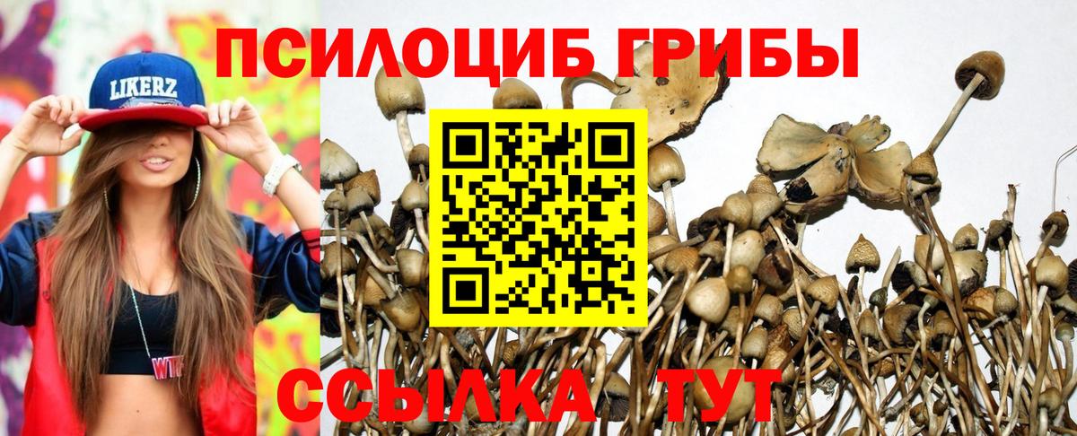 Галлюциногенные грибы прущие грибы Выкса