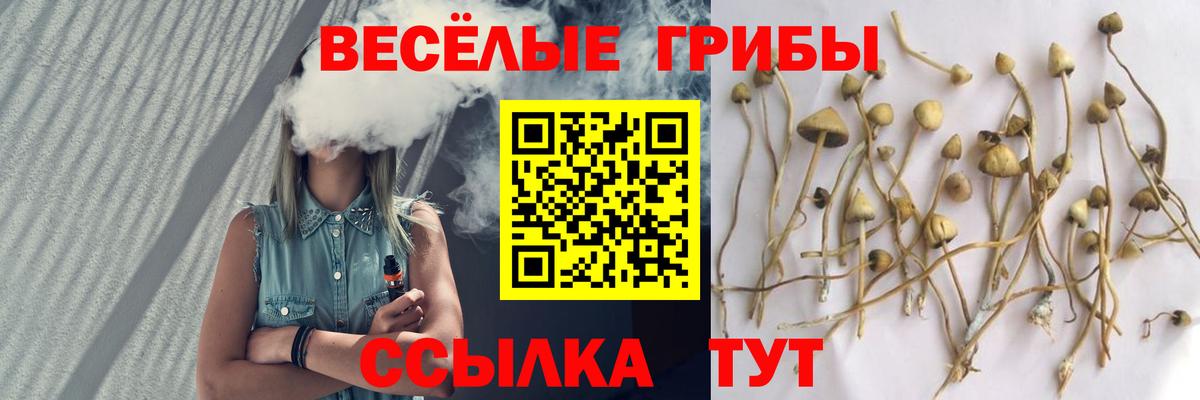 купить  цена  Вход с VPN  Галлюциногенные грибы ЛСД  Выкса  Псилоцибиновые грибы Psilocybine cubensis 