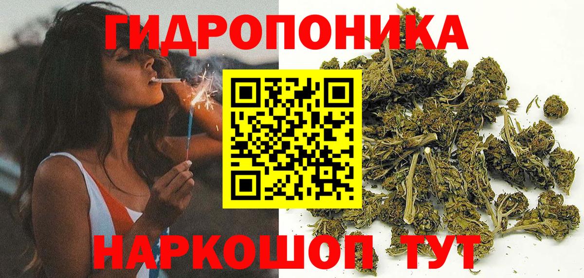 Бошки марихуана Ganja  Вход с VPN  Выкса  Марихуана планчик  Каннабис SATIVA & INDICA  Конопля OG Kush 